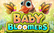 BG Baby Bloomers